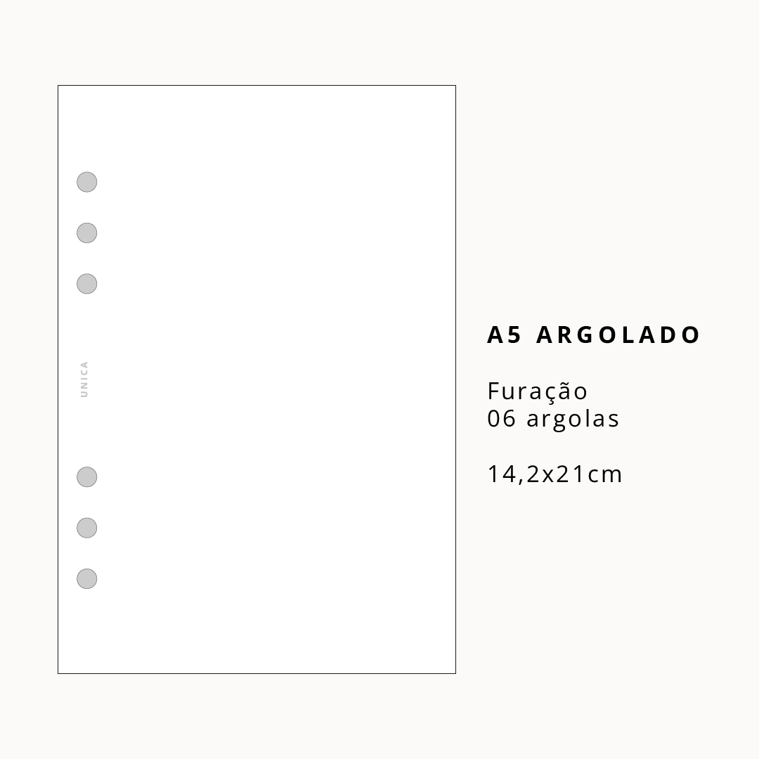 Financeiro em Dia - Combo A5 Argolado