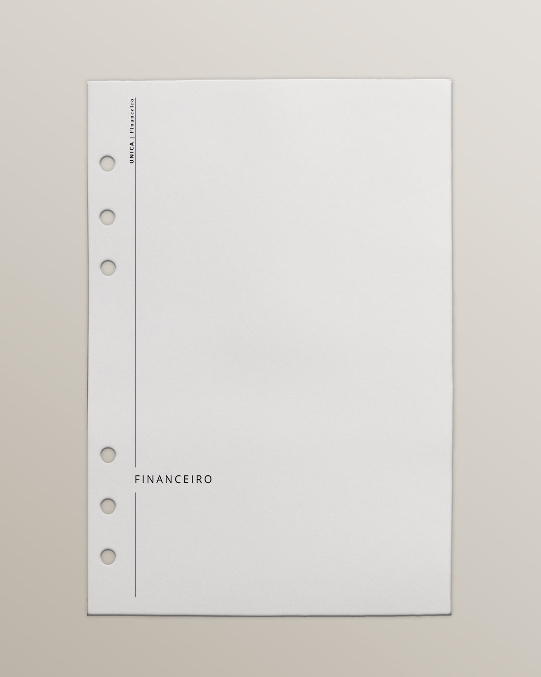 Planner financeiro