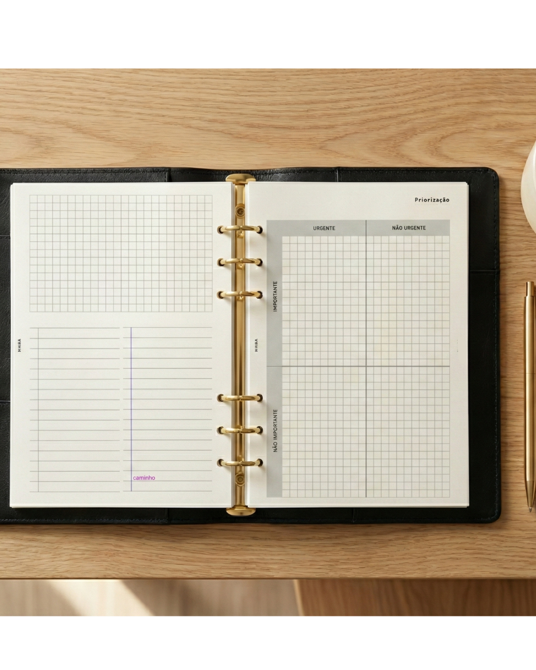 Priorização Matriz de Eisenhower