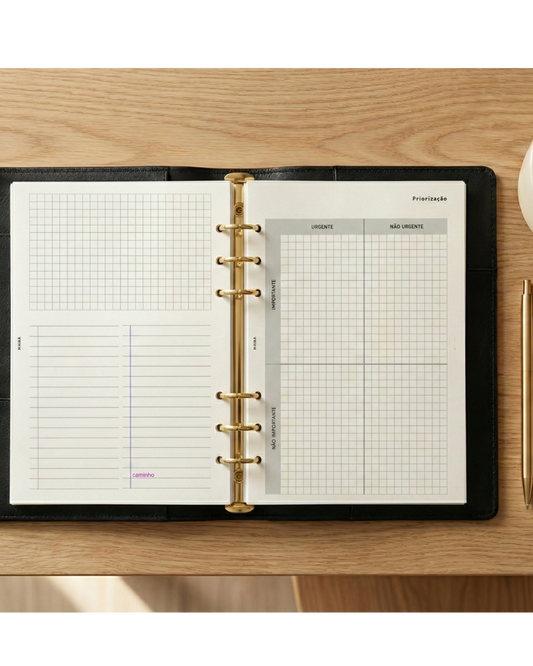 Priorização Matriz de Eisenhower