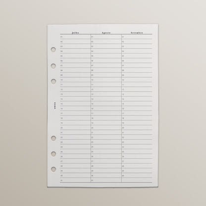 Planner 180 dias