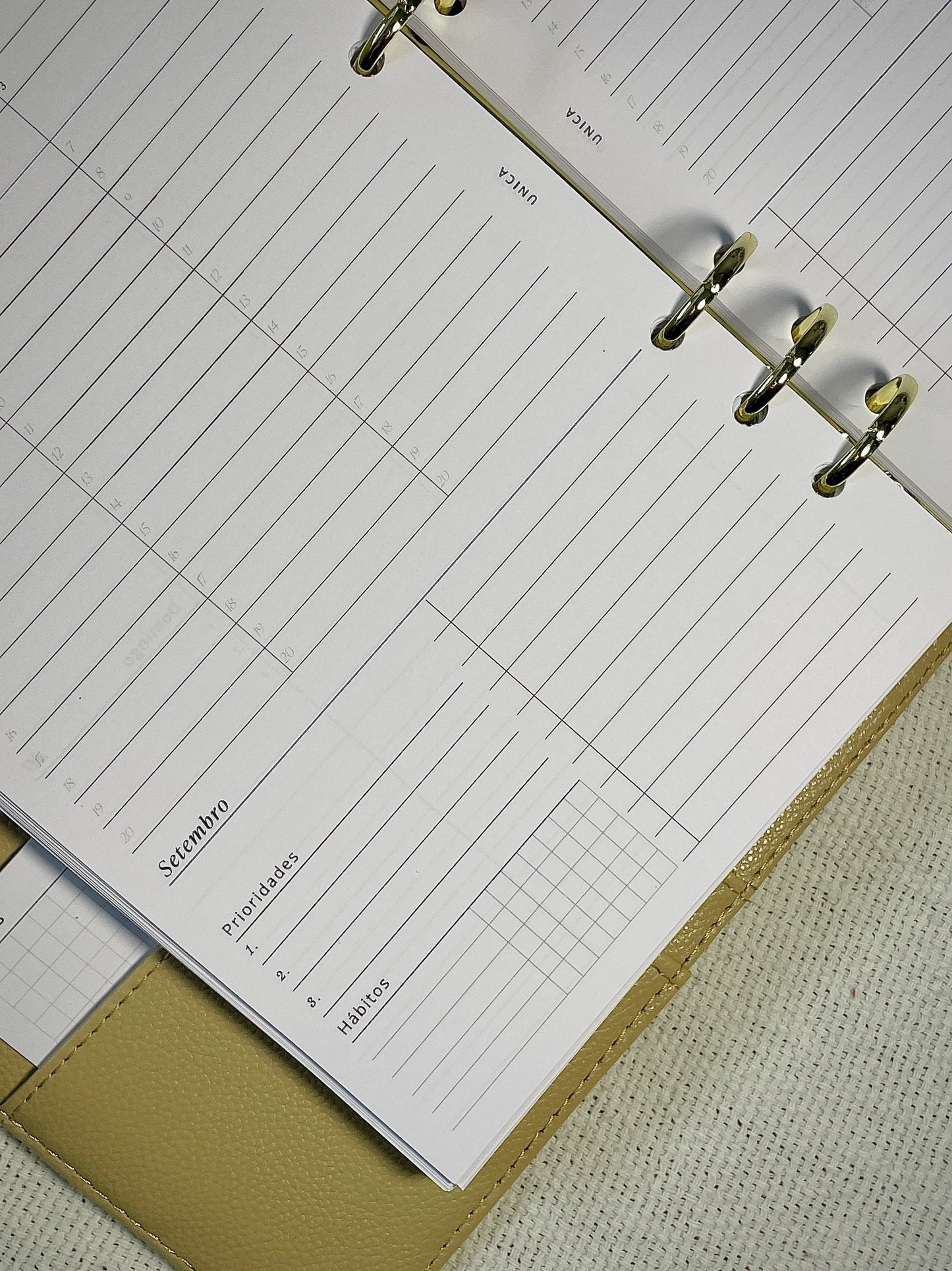 Planner 2026 Essencial Agendamento