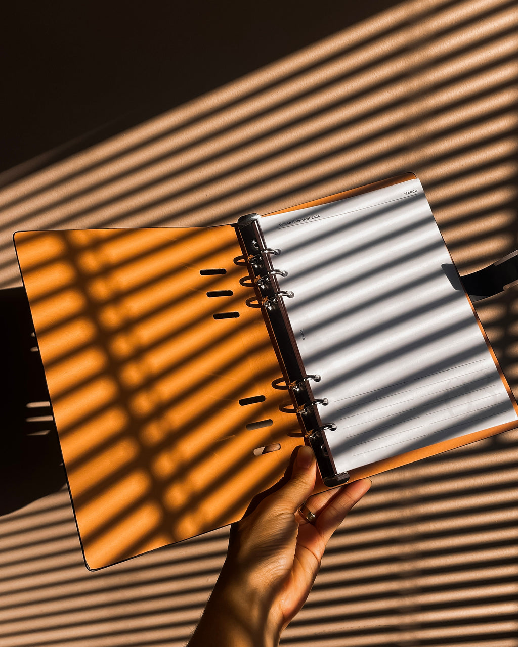 Planner 2026 Básico